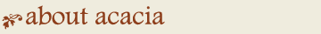 about acacia